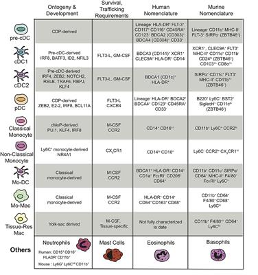 Tuning the Tumor Myeloid Microenvironment to Fight Cancer